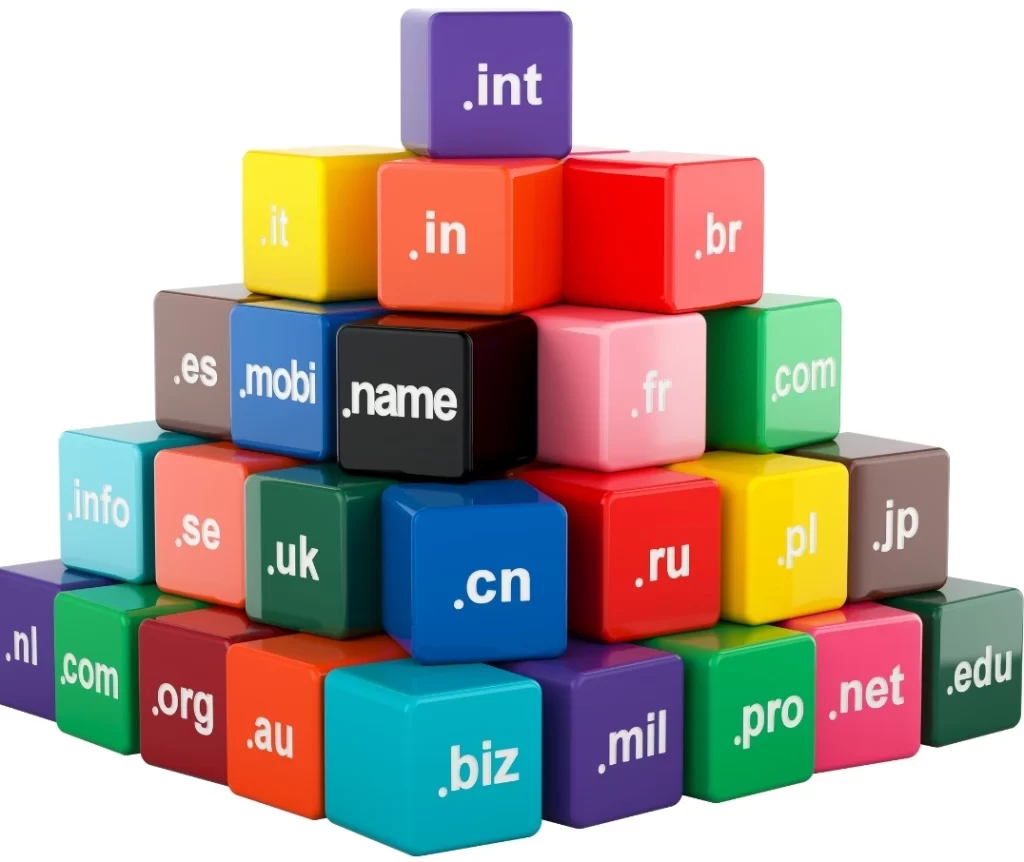 Domain Name Renewal